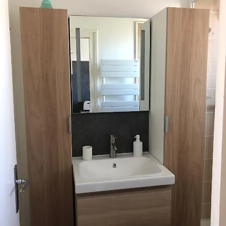 Demoiselles - 1 Saint-Jean-de-Monts